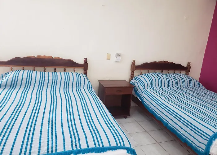 Hotel D Margo